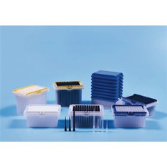 نصيحة تيكان